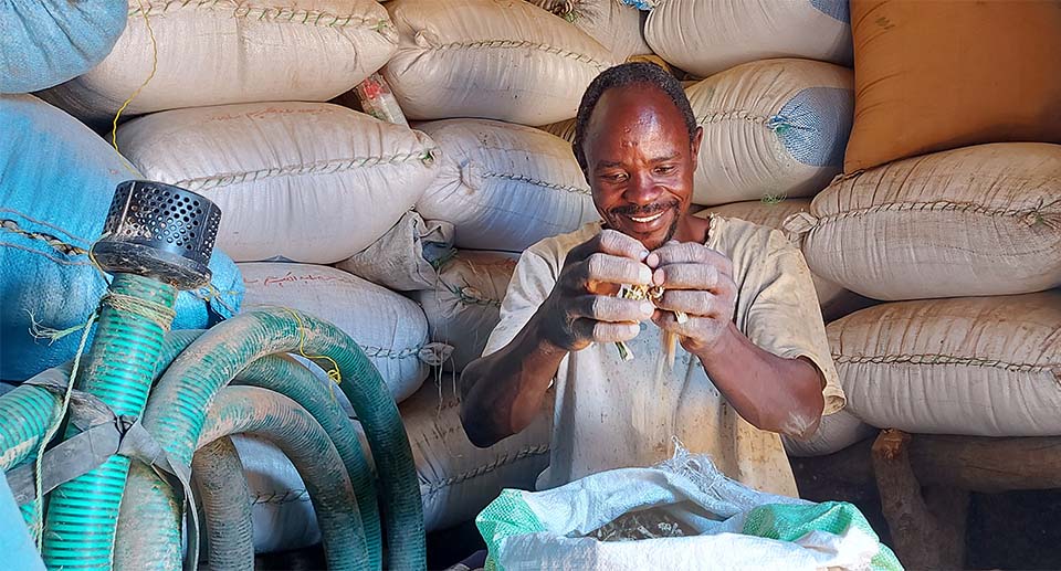 Sudanese farmer stores crops