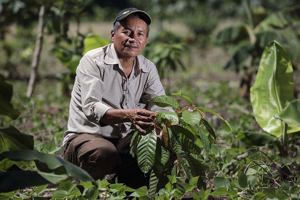 El Salvador cacao producer