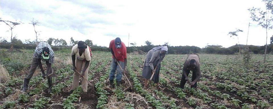 farming iin Kenya