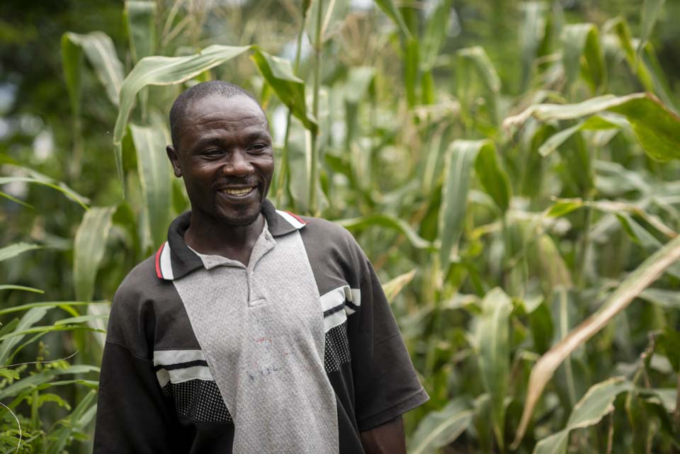 Malawi farmer in field