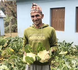 Nepal man in garden holds cauliflower 