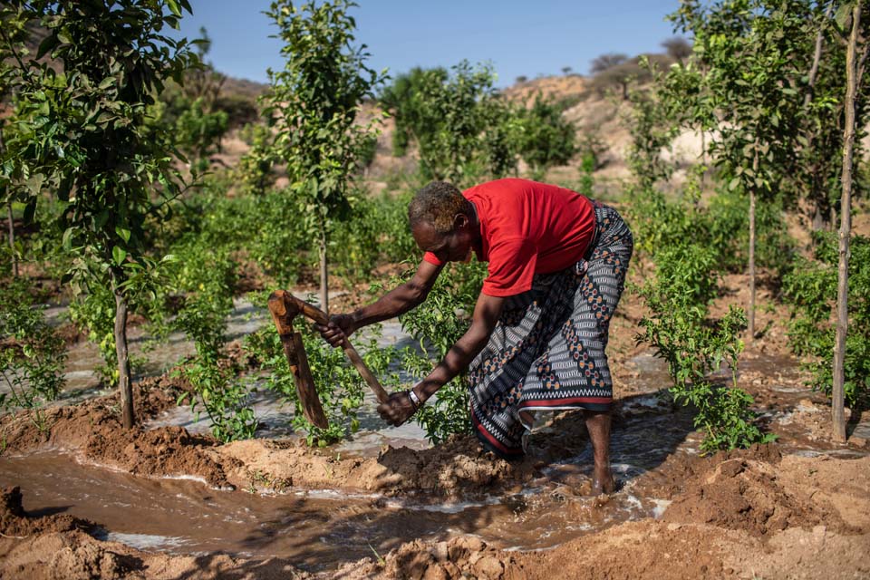 farmer redirects water flow in Ethiopia