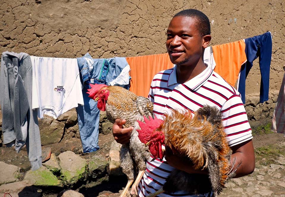 Rwandan holds a pair of prized roosters