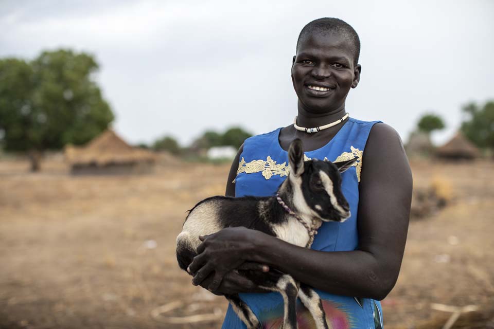 Goats Improve Food Security And Resilience In South Sudan Crs