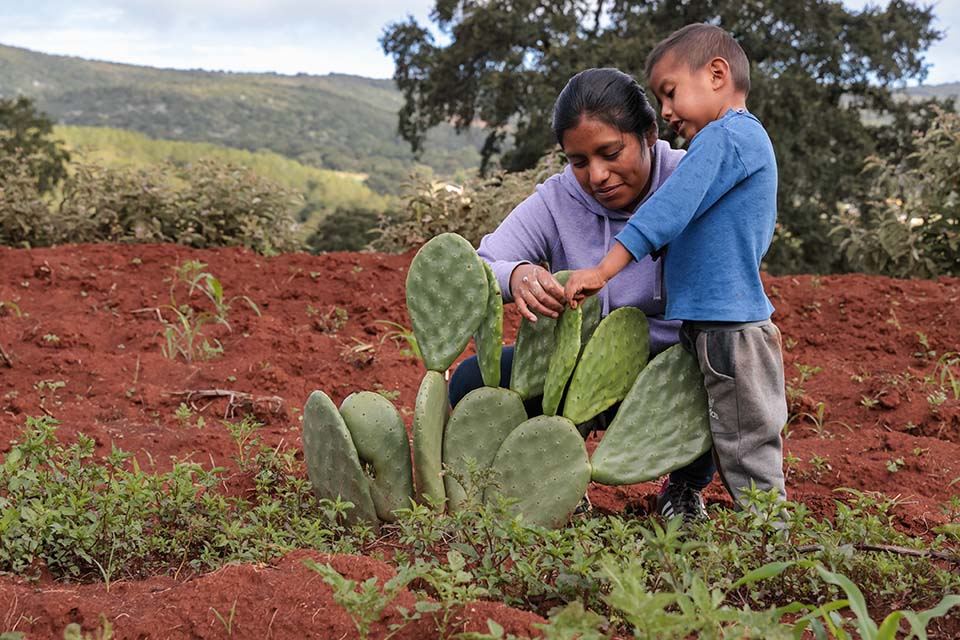 woman and son plant crops in Mexico