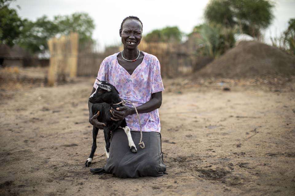 Goats Improve Food Security And Resilience In South Sudan Crs