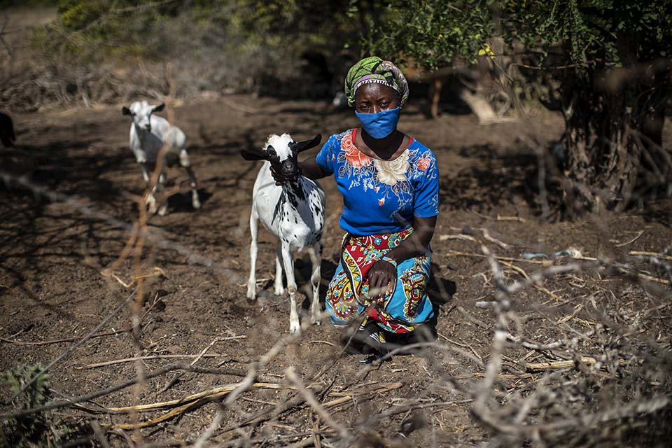 woman tending her goats in Kenya