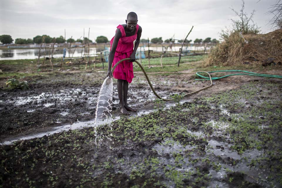 woman watering crops in South Sudan