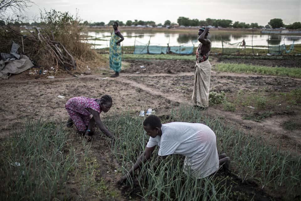 women farming in South Sudan