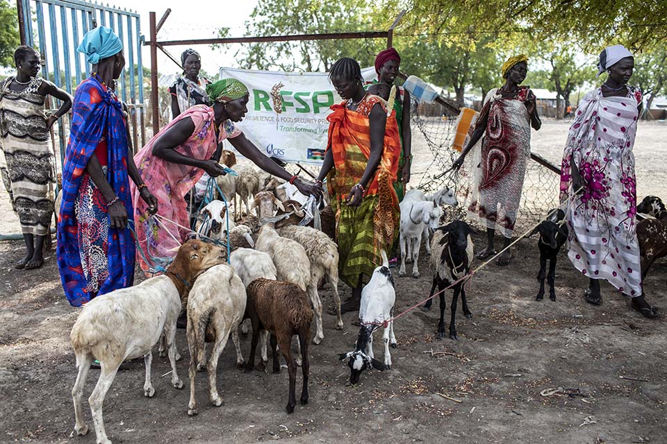 Women receive goats at a livestock fair in South Sudan