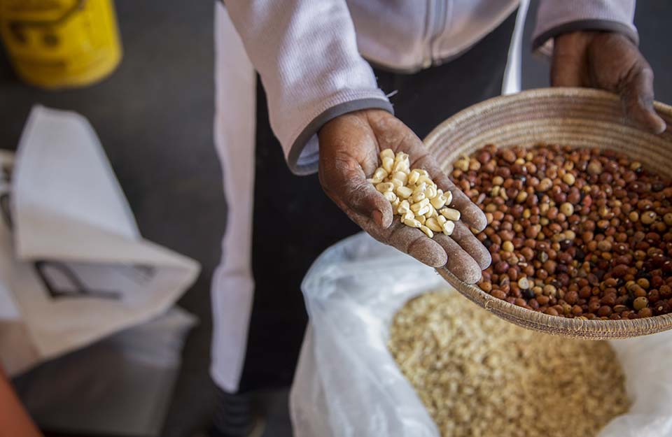 Zimbabwe stored grain