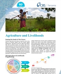 Screenshot of CRS Tanzania Agriculture & Livelihoods document