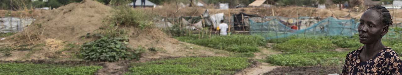 woman carries produce in South Sudan