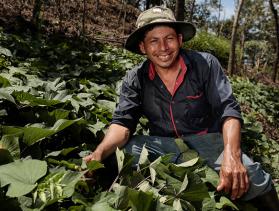 Honduran man crouches among plants while smiling and posing for camera 