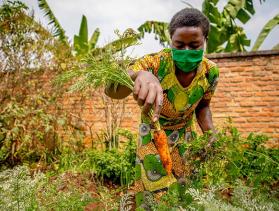 woman pulling a carrot from her garden in Rwanda