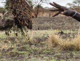 South Sudanese road crew member tossing debris