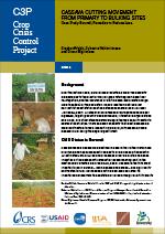 Cassava Cutting Movement from Primary to Bulking Sites (Burundi)