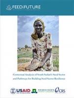 contextual analysis of south sudan