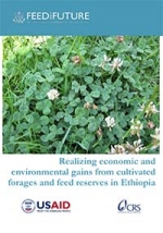 Realizing economic and environmental gains from cultivated forages and feed reserves in Ethiopia